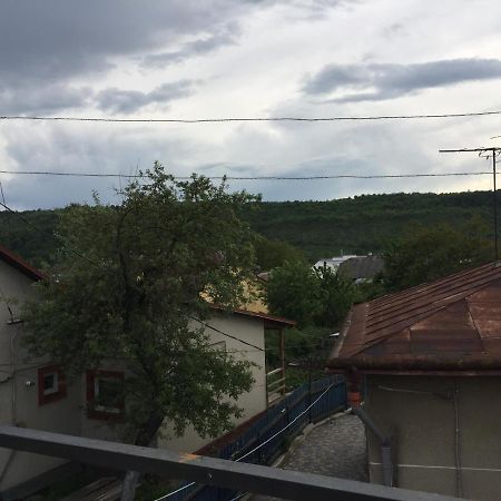 Apartamentu Hostel Zalishchyky Екстериор снимка